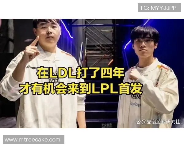 热议英雄联盟BLG战队的崛起与力量变革背后的故事与启示